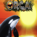 Orca
